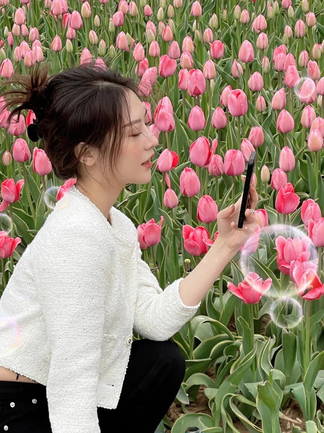没有人能拒绝济南的郁金香！
济南泉广和经十路的郁金香🌷都开花啦
又到了一年一度