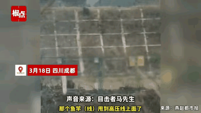“真是太令人痛心了”！近日，四川成都，发生了一件令人特别痛心的事情。有一名男子在