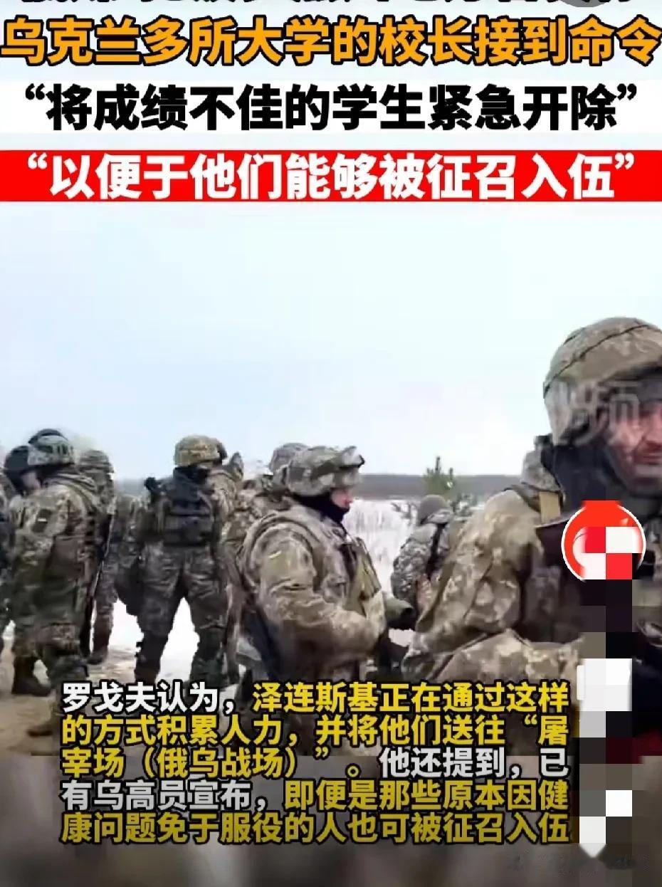 乌克兰这仗没法打了，还不如现在就与俄罗斯和谈。

乌克兰兵源紧缺，老人兵，娃娃兵