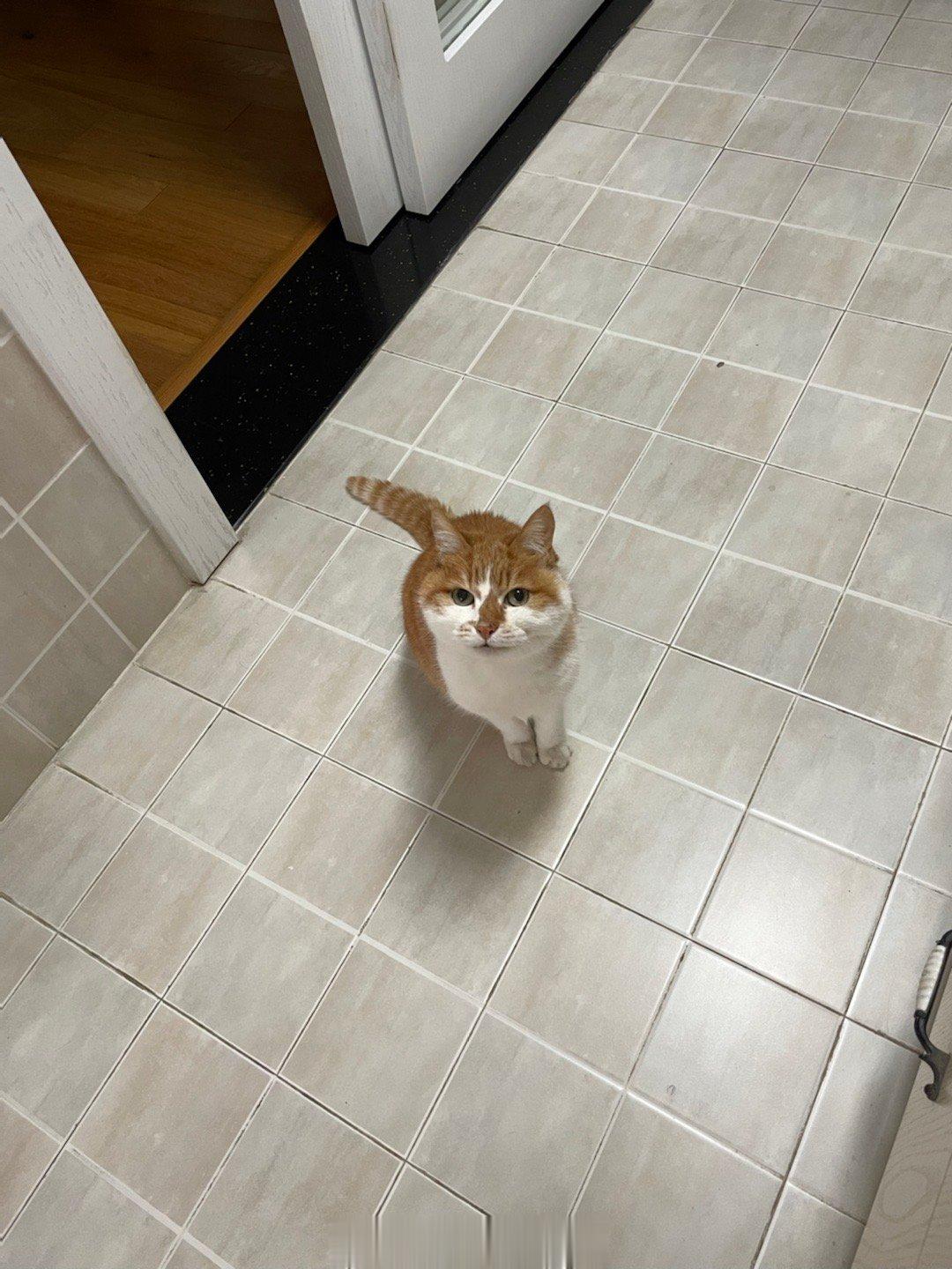  来了！要闹了！ ​​​