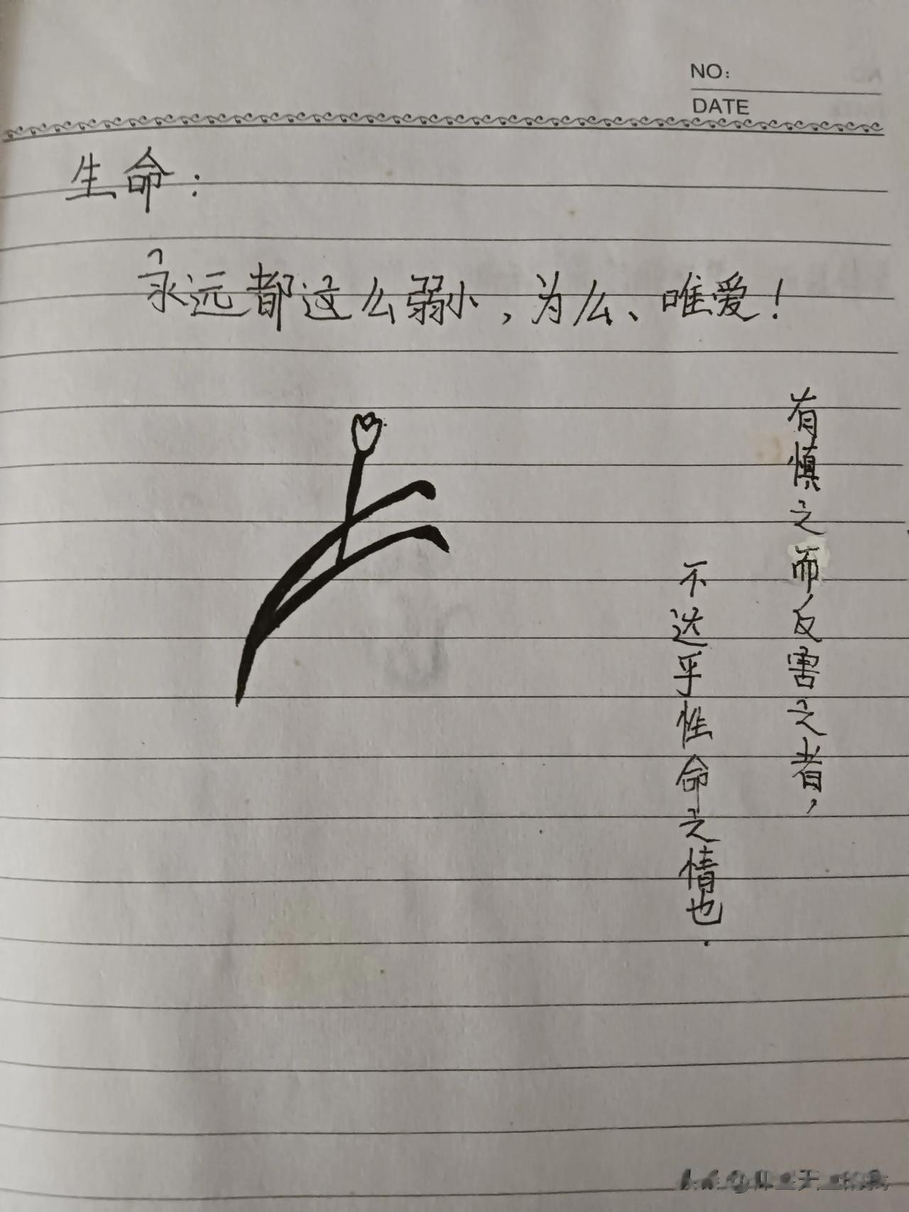 
慎之而反害之者,不达乎性命之情也。 
意思是:如果特别爱惜生命,却反而使生命受