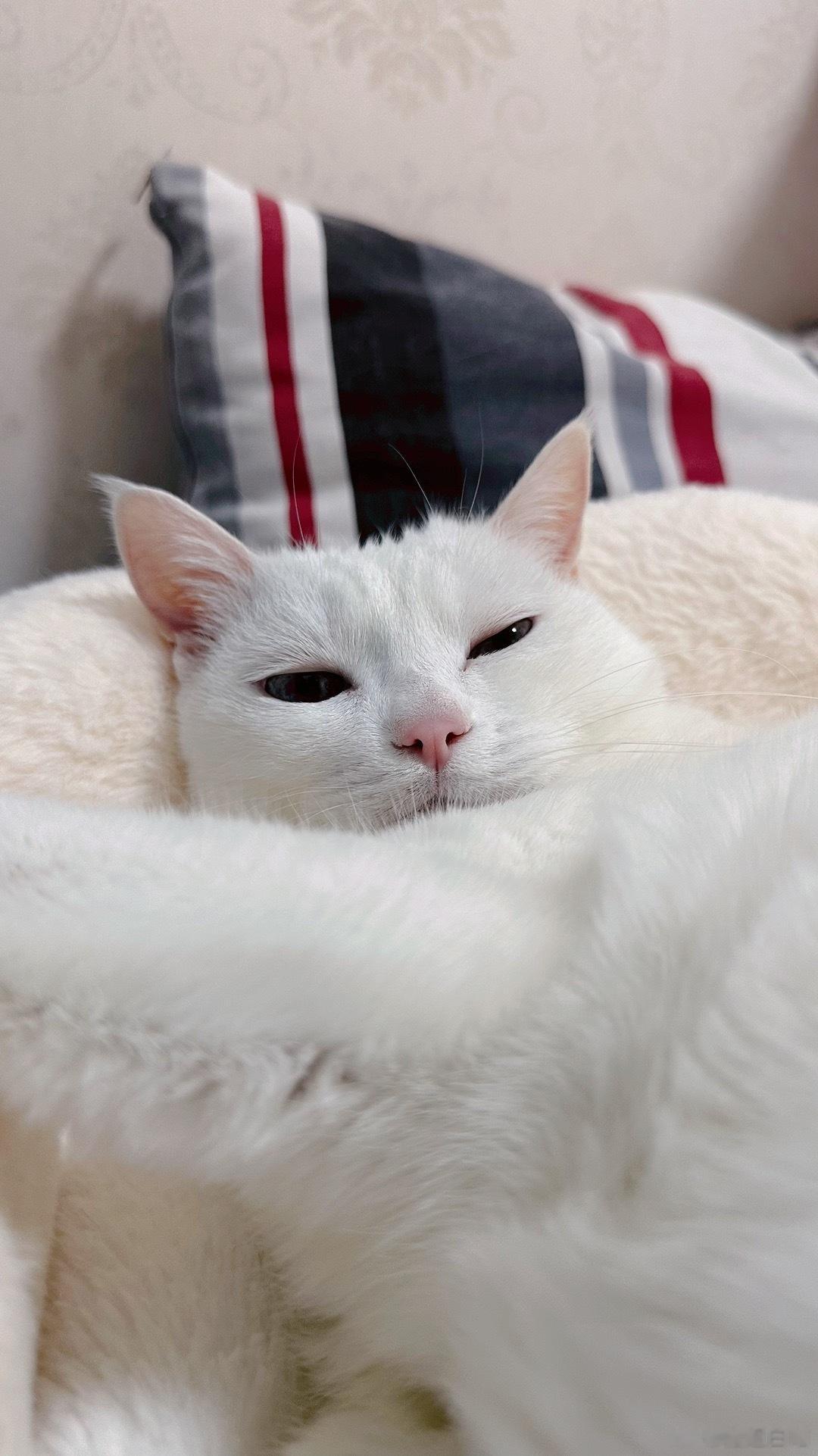 早 ​​​