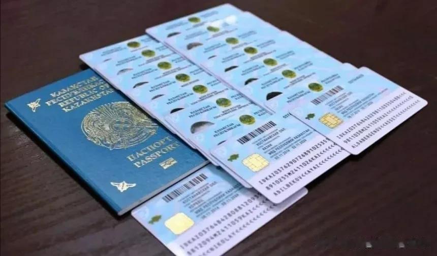 隐瞒双重国籍，哈萨克斯坦计划加重处罚，针对谁？

据哈萨克斯坦内务部介绍，在过去