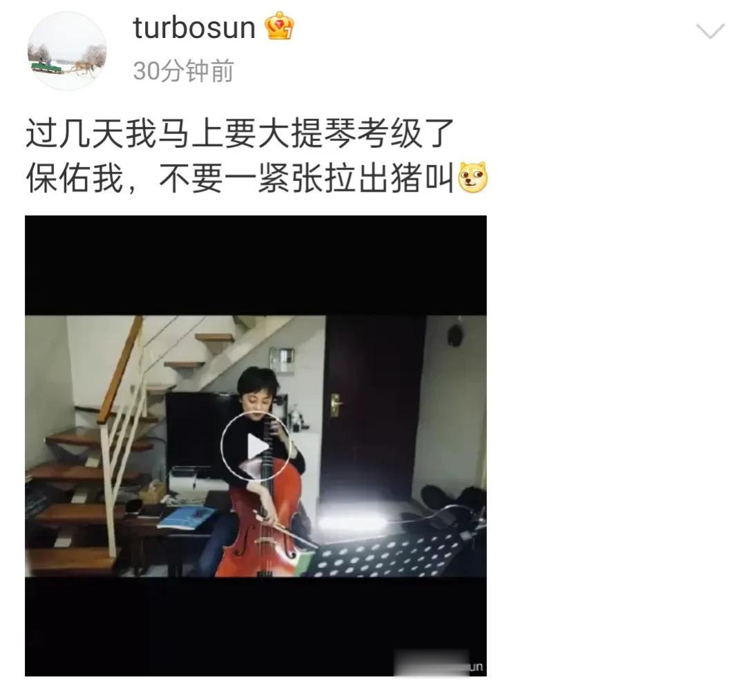 [捂脸][捂脸][捂脸]孙俪说保佑我，不要紧张就拉出猪叫声。20号孙俪在社交平台