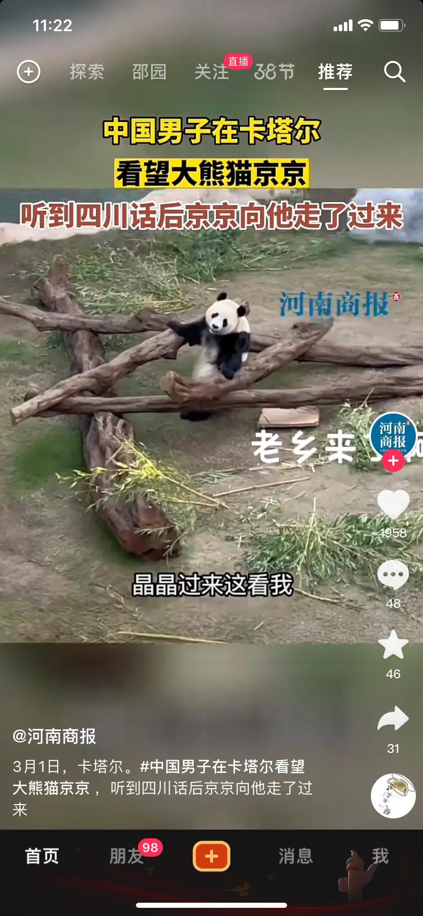 中国男子在卡塔尔用四川话喊大熊猫京京，然后京京就过来了，大熊猫也体验了“他乡遇故