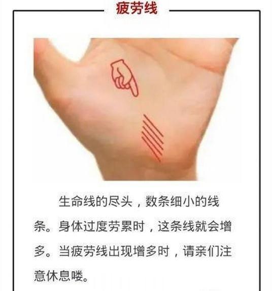 【手纹趣谈】据说手上有这条线代表能被宠爱一生！你想要被宠爱吗？下图手纹仅供娱乐，