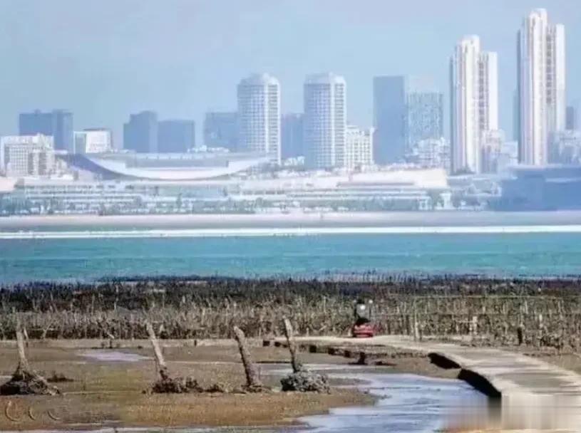 有人说这是从二担岛视角看厦门的场景，如果真是这样，那简直就是在地狱里仰望天堂的感