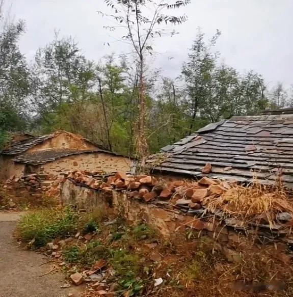  

我曾是一个挣扎在社会最底层的农民。
我曾干了一整年，得到的收入只有97块钱