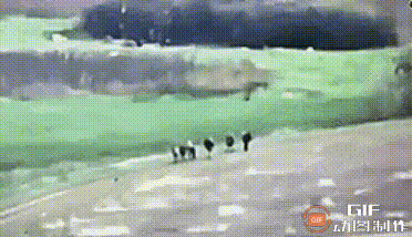一炮团灭作战小分队，精准度真高！
不知哪方作战小分队，一共六人，从后数第二第三个