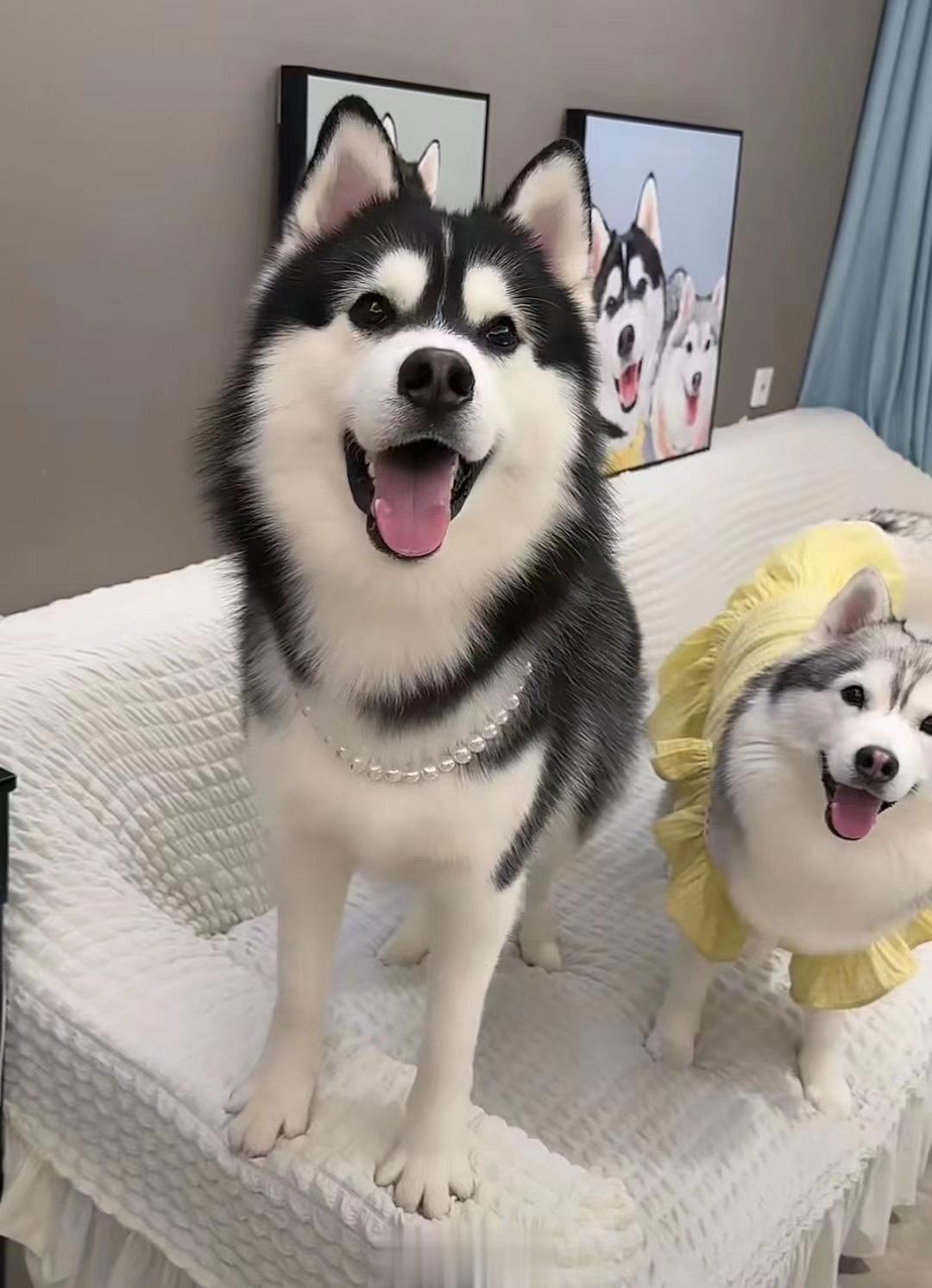 换新壁纸了 ​​​