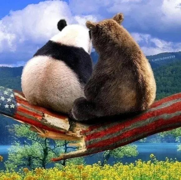 俄罗斯人心目中的中美俄三国关系，耐人寻味。