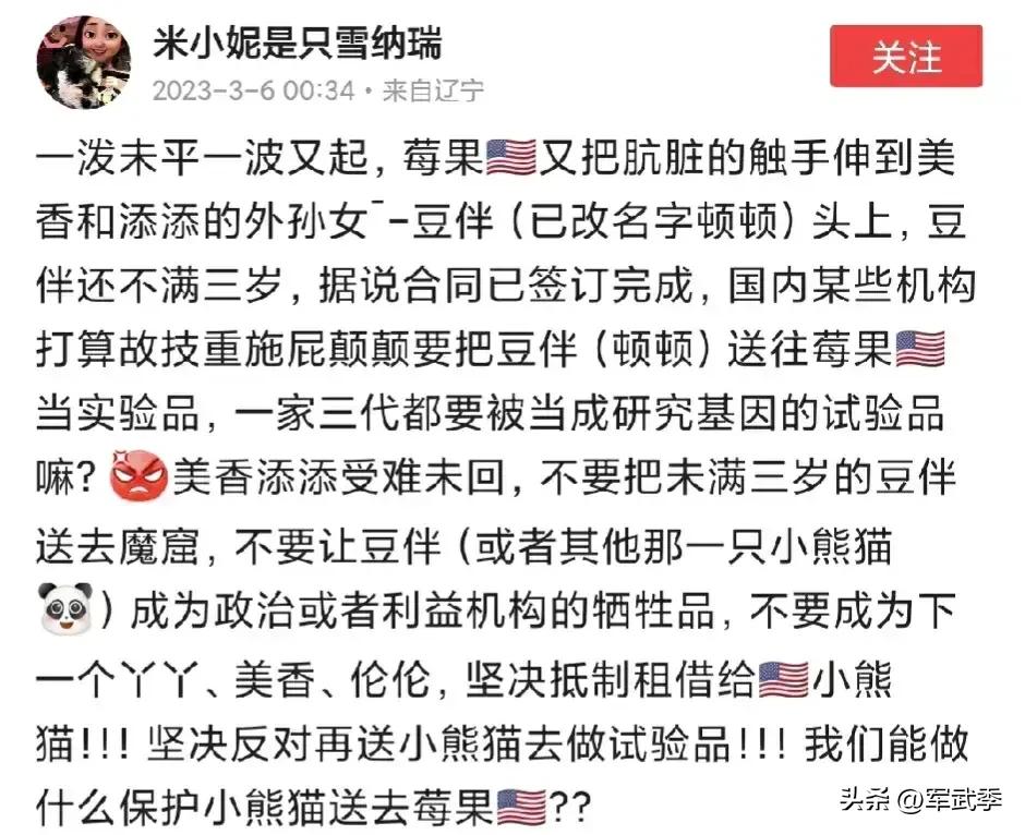 舆论汹涌之下，中动协悄悄挑选了两岁多一点的雌性熊猫顿顿（原名“豆伴”，改名是为纪