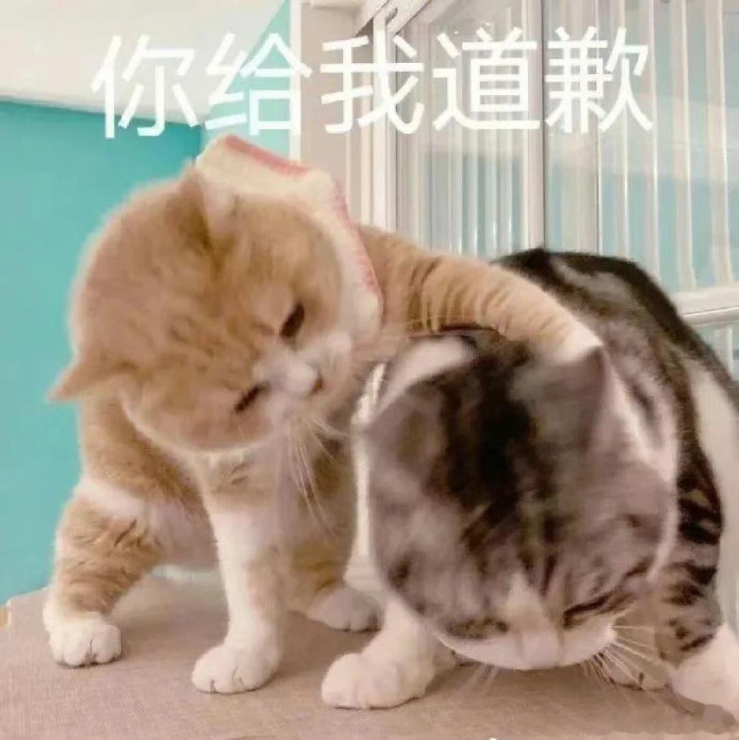 射手女和双鱼女在恋爱里的一个共同特点：如果有问题，那一定不是我的问题，如果静下来