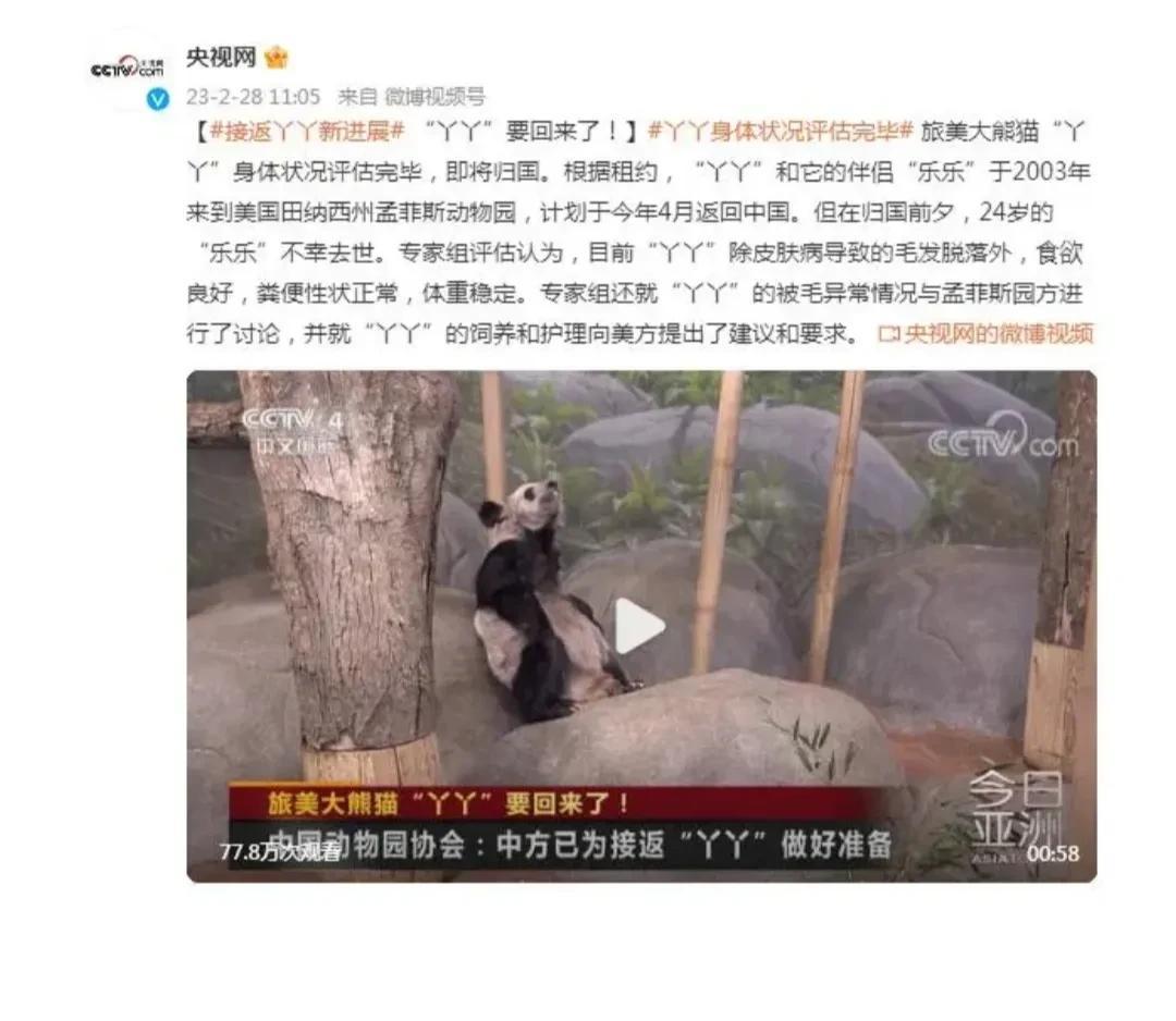 消息令人振奋，太好了，丫丫要回来了。你的家在中国，你的亲人在东方，所有人都在等待