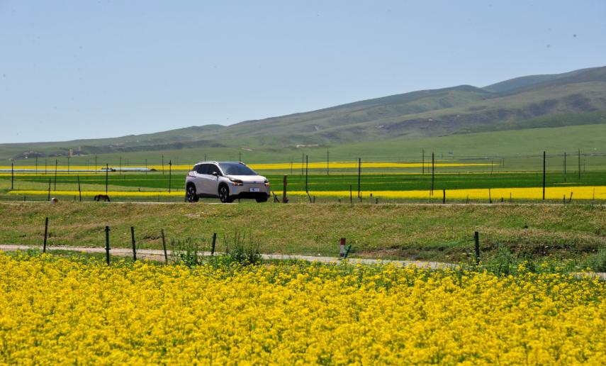 和特斯拉同台竞技，咱国产纯电车型赢面有多大？
前几天，特斯拉、蔚、小、理、埃安等