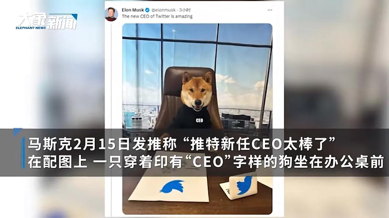 马斯克这是在玩挟天子以令诸侯啊，哈哈哈，近日，据消息称，马斯克任命一只名为flo