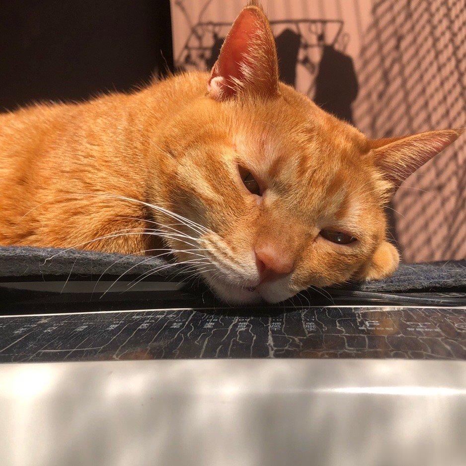 继续晒甜橘🍊 ​​​