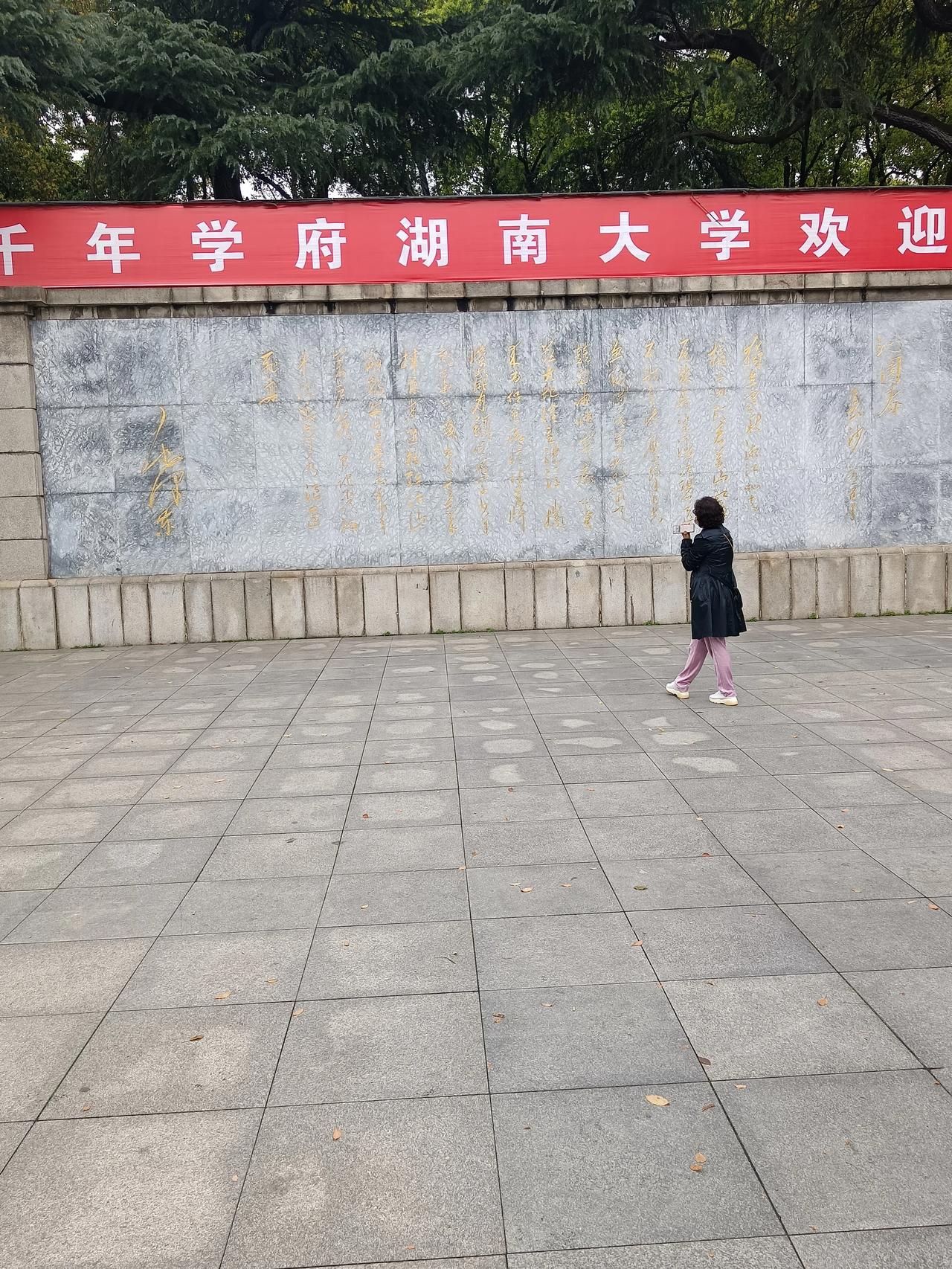 湖南大学（历史上叫岳麓书院，宋代朱熹讲学地方）、岳麓山、茶颜悦色、臭豆腐，都在一