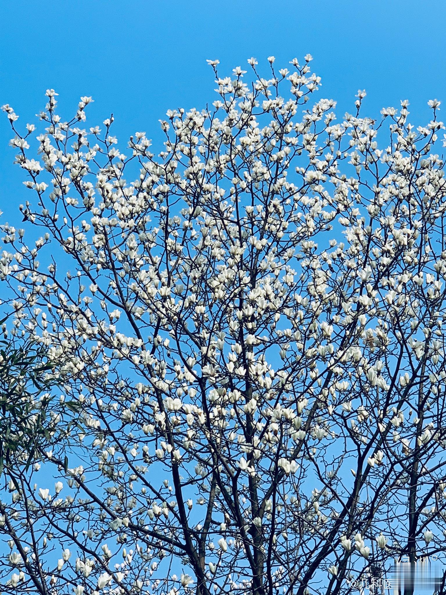 早上好！  ​​​