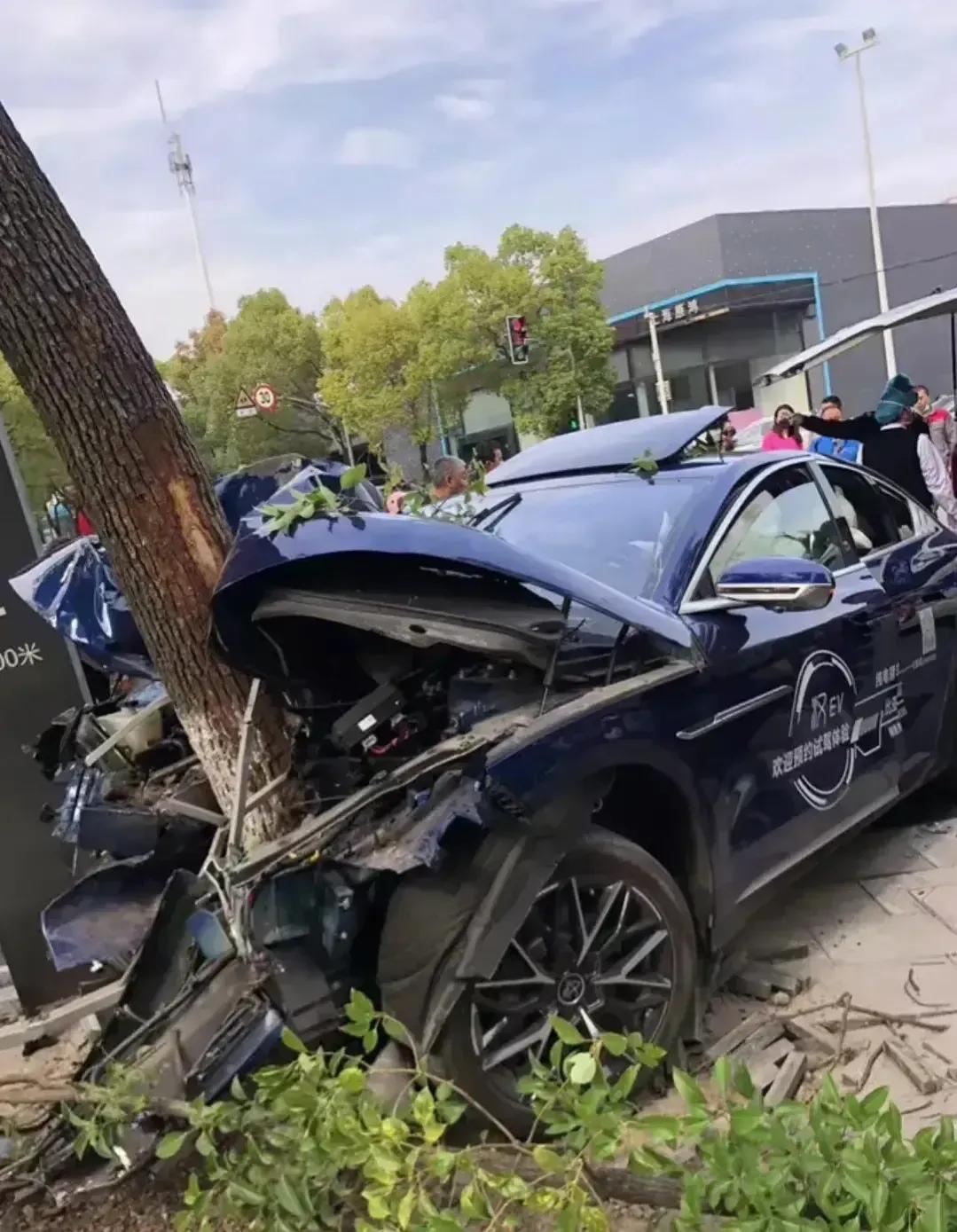 3月12日上海一名女性在试驾比亚迪汉EV时候撞上一颗大树，车头被撞严重，基本算是