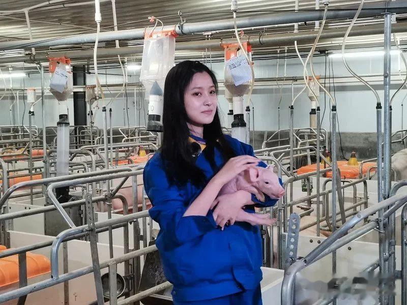 在我们国家，职业歧视依然很严重 

95后养猪的新闻，轻易就上了 头条热榜 和热