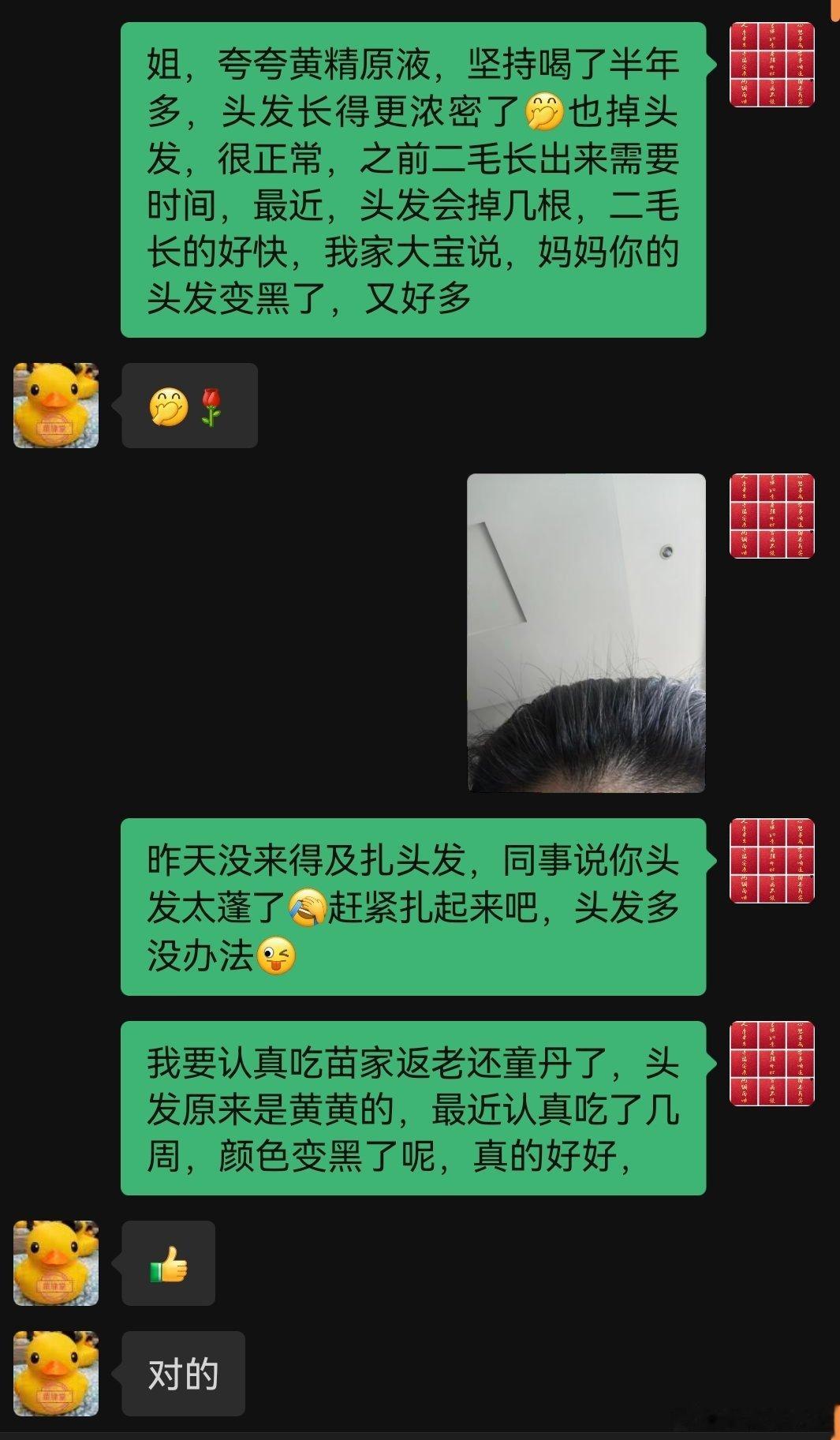  气血足，发根长一号方搭配五清茶疏通调理第一黄精原液补肾补血第一苗家返老还童丹打
