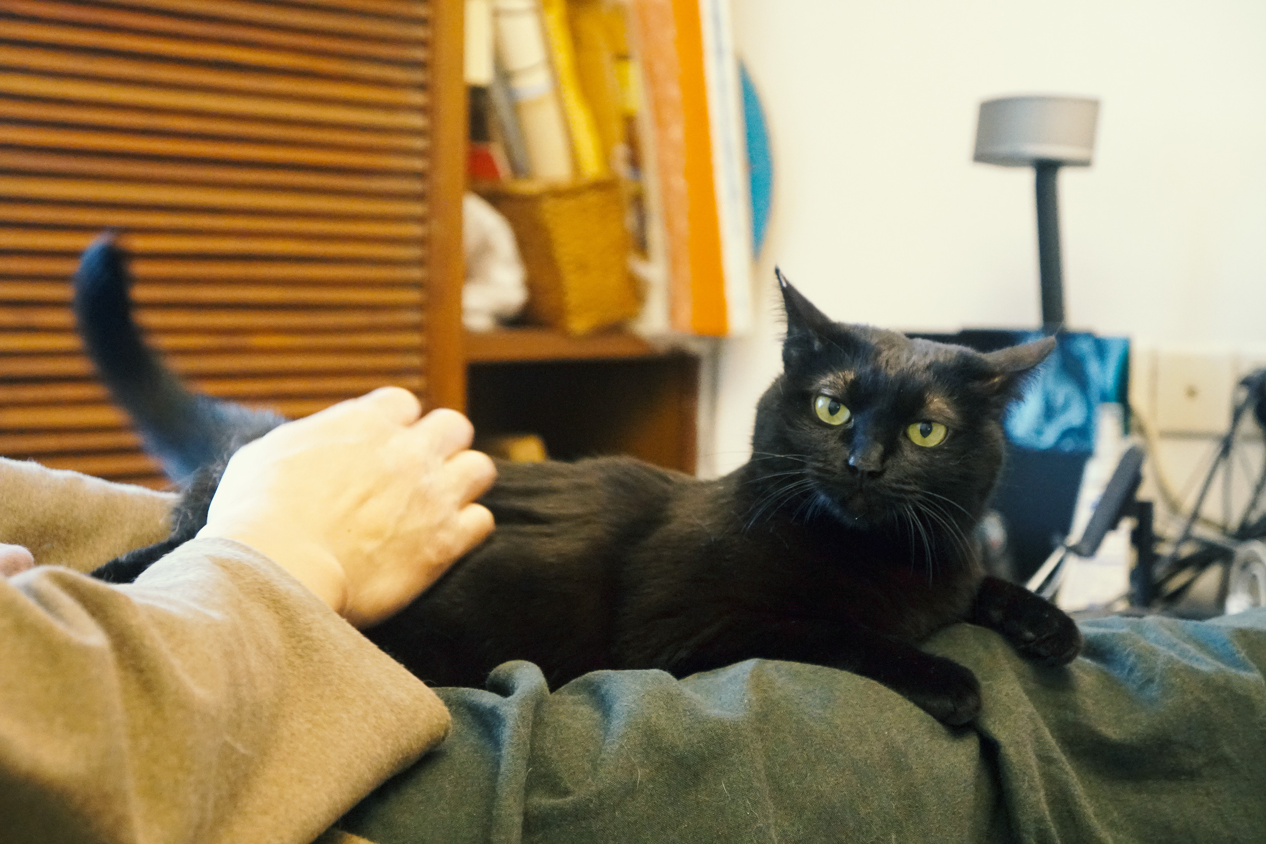 蝦：我可以趴到你腿麻哦～ ​​