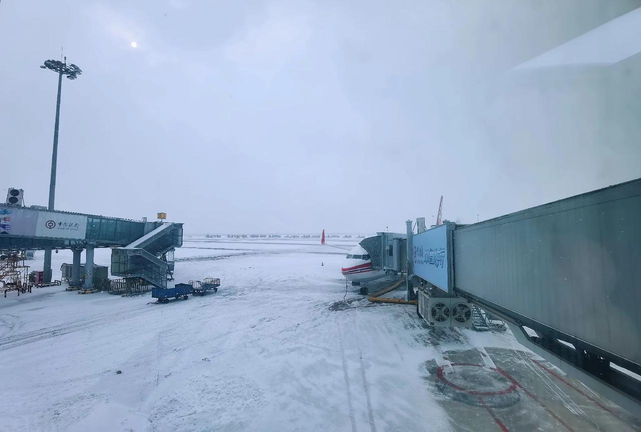 北国风光，千里冰封，万里雪飘。
​这才是美丽的哈尔滨[心]