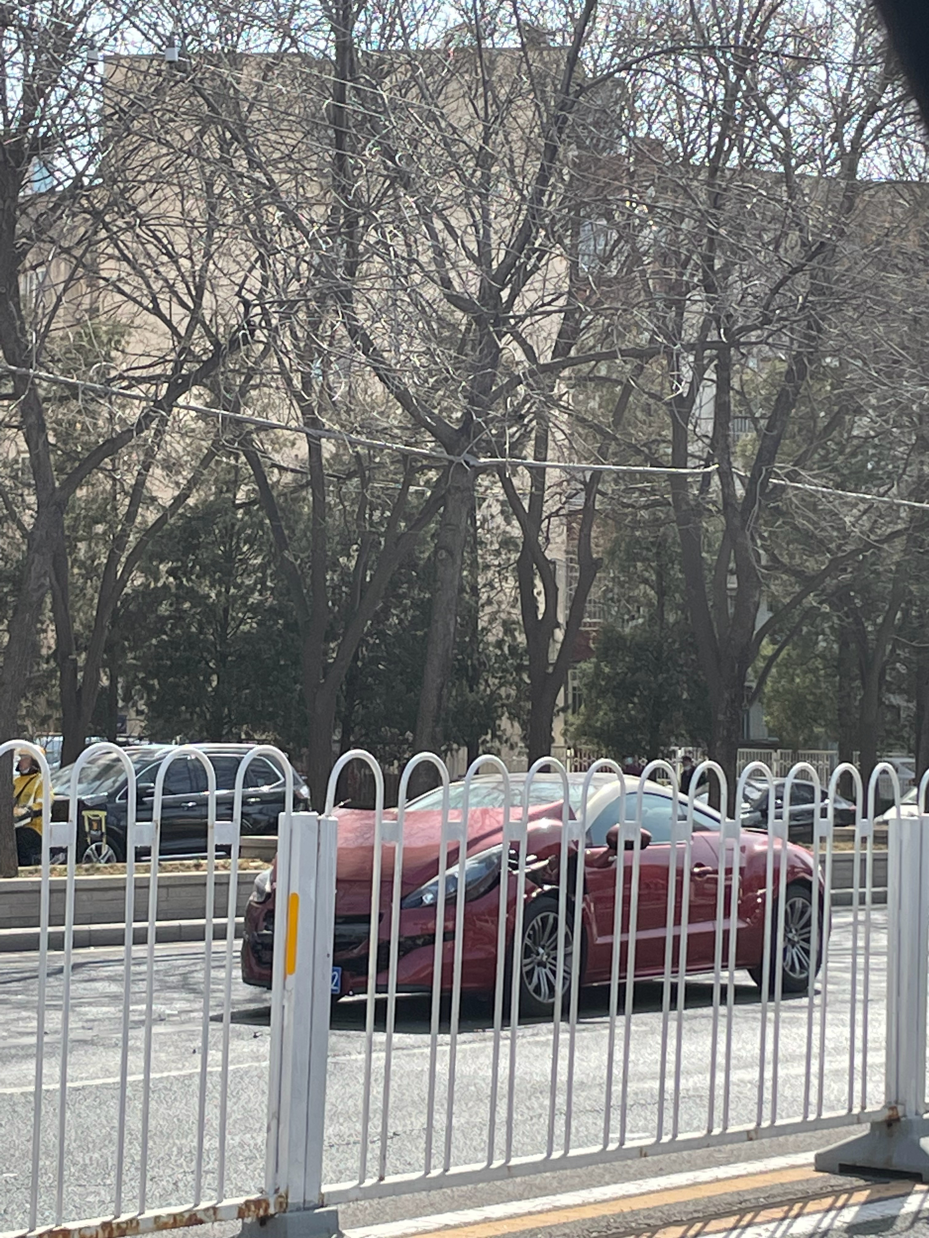 碰见一台标致RCZ碰撞、确实心疼车主！也给大家分享一些玩这种稀有车的经验分享：这