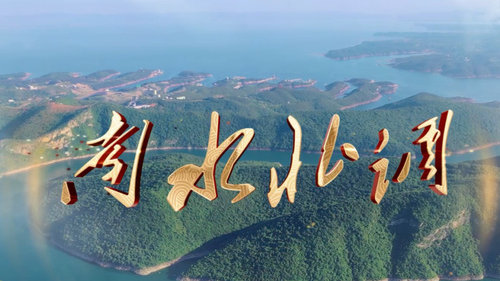 发布了头条文章：《「独家专访」