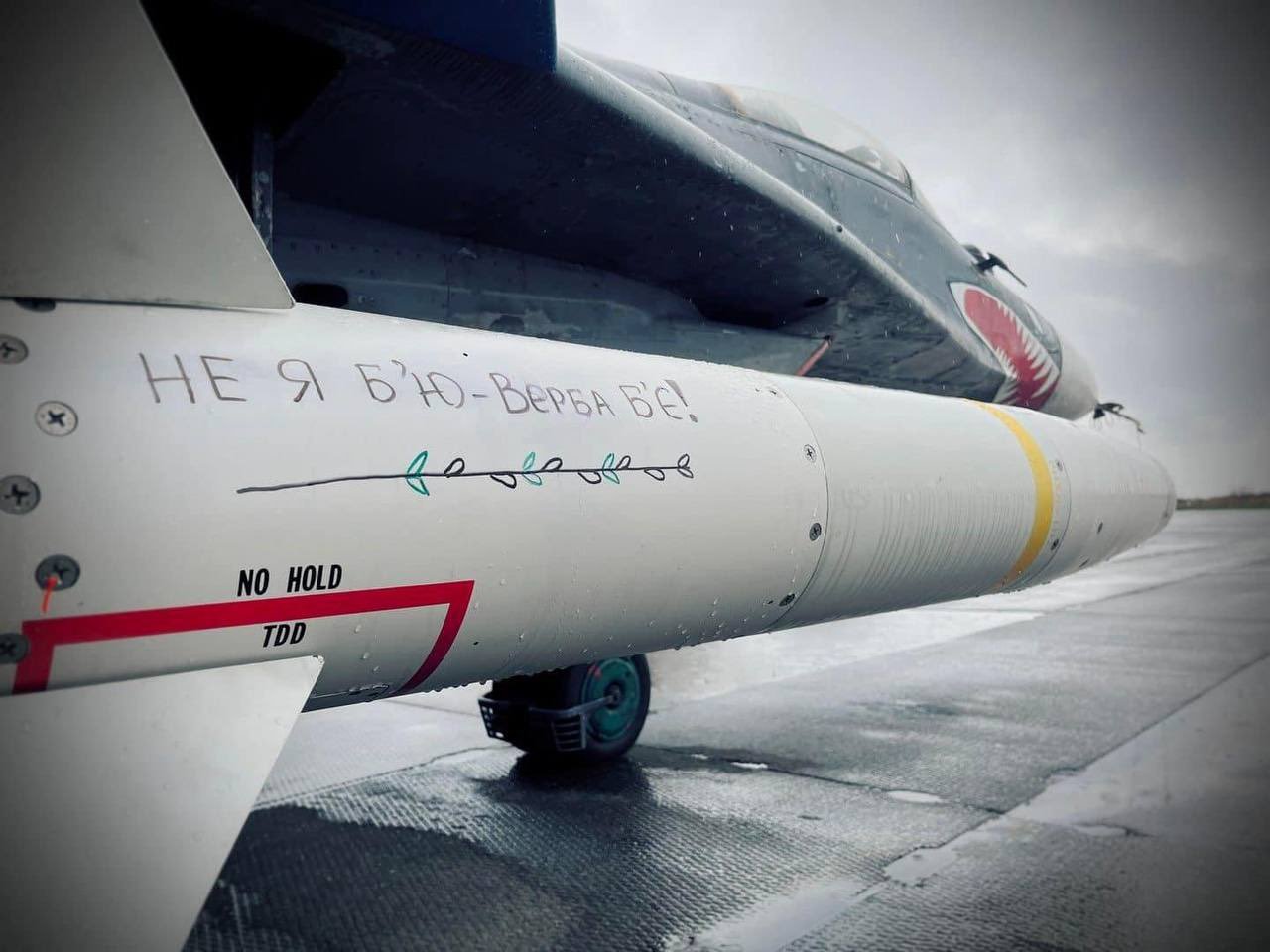 漂亮国拱火什么导弹？！鲨鱼血盆大口涂装，出现在乌克兰Mig-29上，是在致敬飞虎