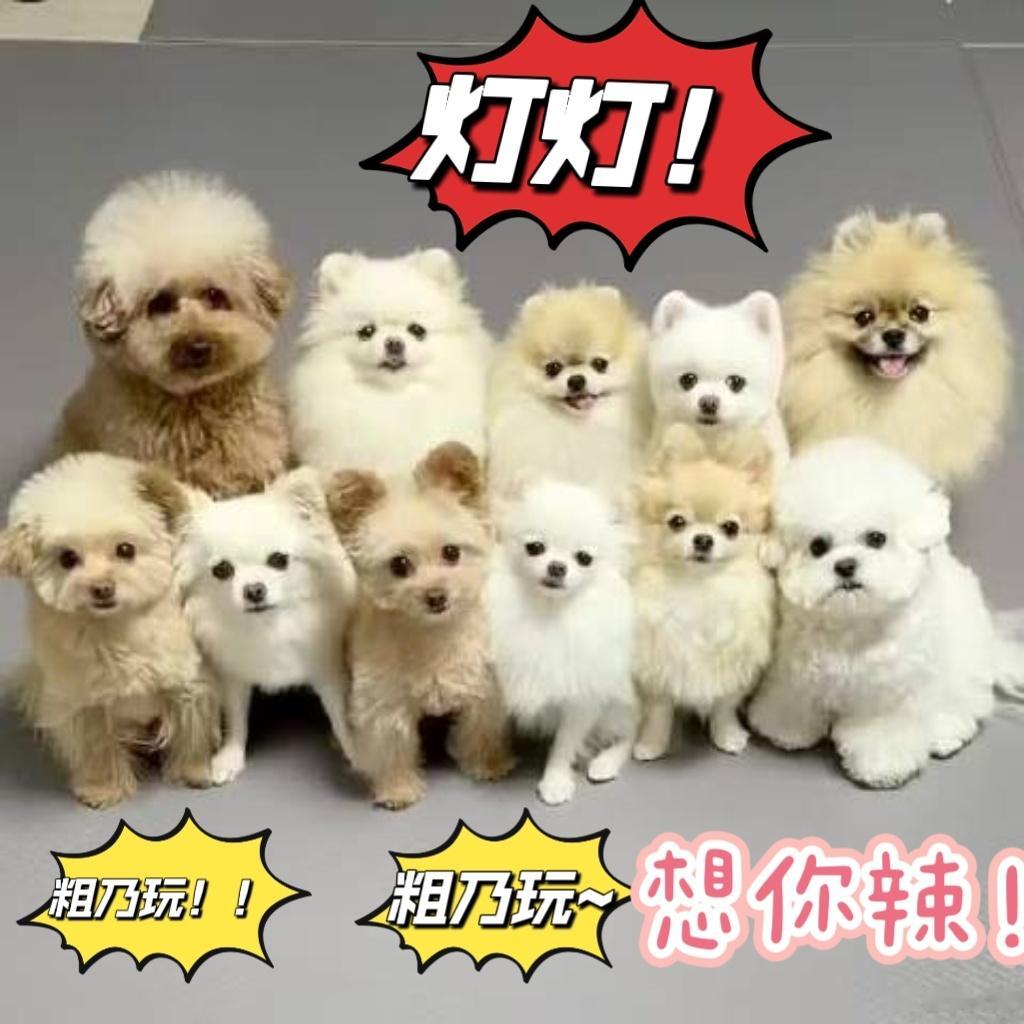  宝宝北~~北~~北~~北北~~我们有心里话要和你说💚❤️看图说话如下 👇?