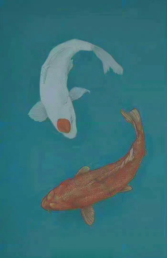 四月的第一天看到这两条好运锦鲤，一整月都会好运连连！[心][心][心]🙏🙏?