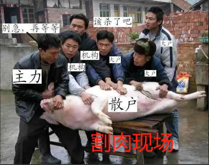 散户会在亏损多少范围内被套牢呢