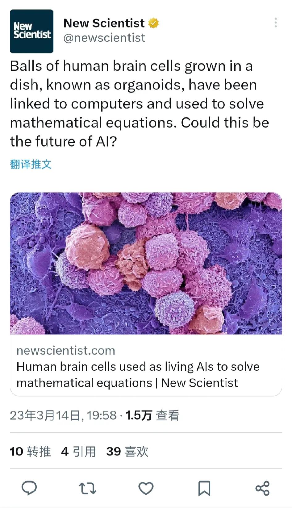生长在盘子里的人类脑细胞球，被称为有机体， 已经连接到计算机，并用于求解数学公式