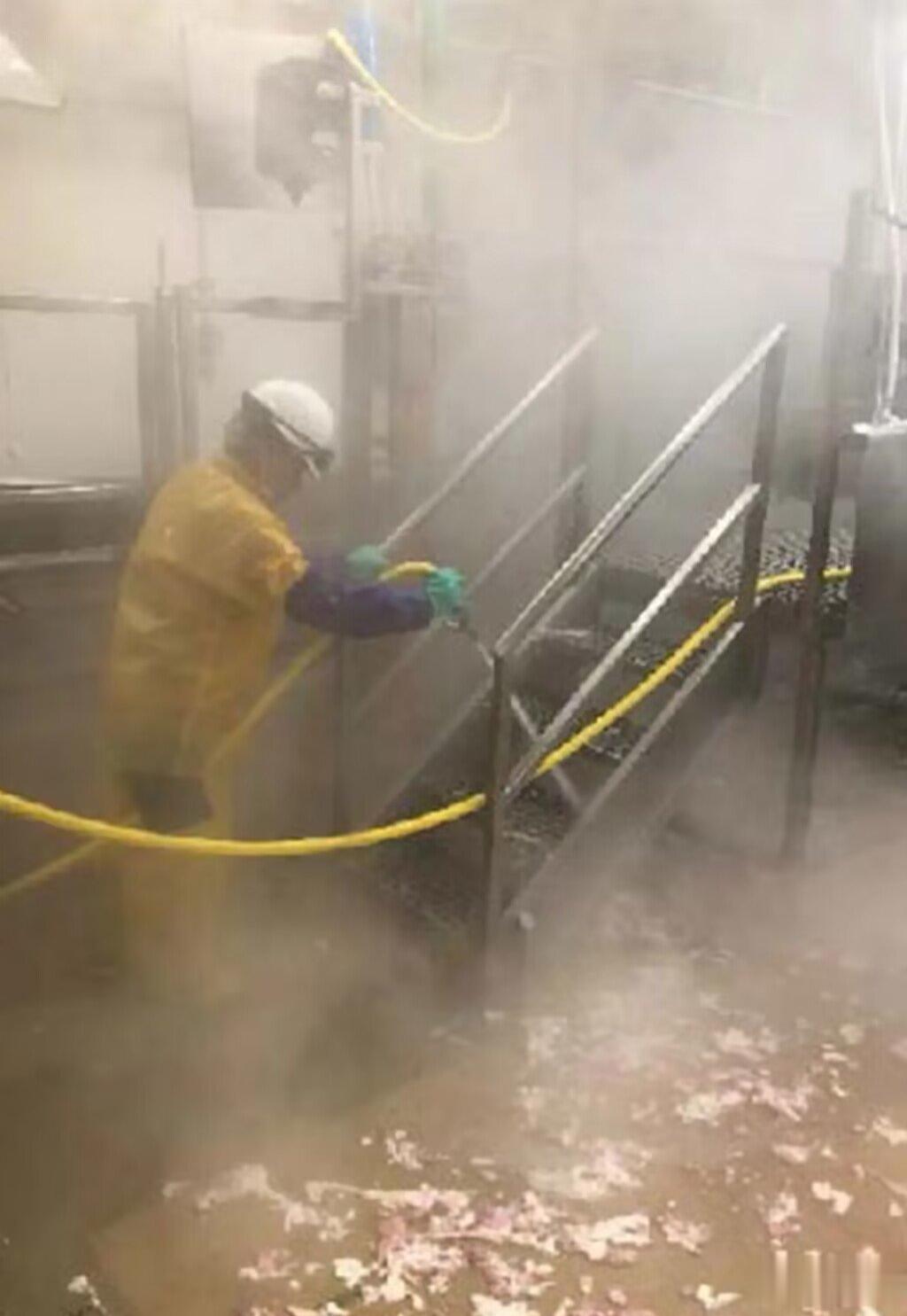 屠宰场雇佣102名年龄13岁以上的童工被罚，而这些孩子都是被父母带到美国的。
 