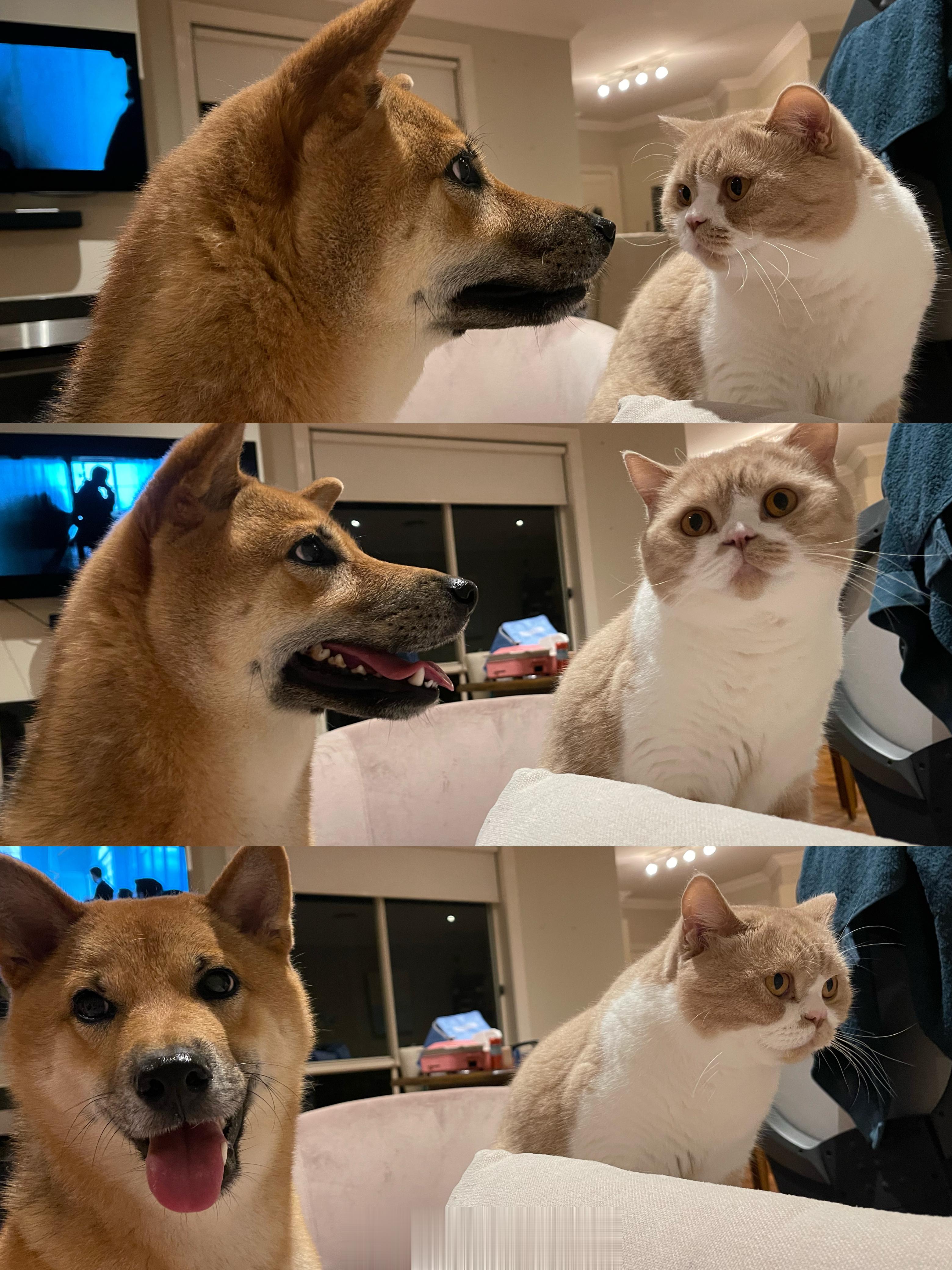 两个小朋友 ​​​
