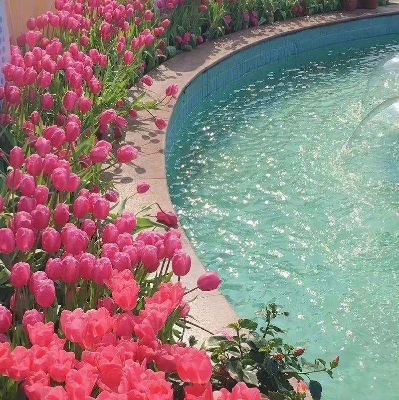  安全感不是行程报备是自觉是下意识的惦记和关心 ​ ​​​