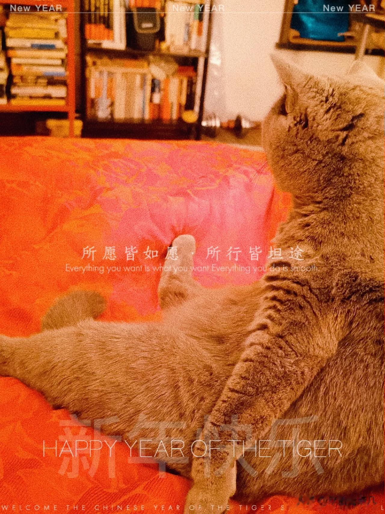 “志士幽人莫怨嗟，古来大才难为用。”杜甫为什么会认为材大难用呢？
我认为其实古时