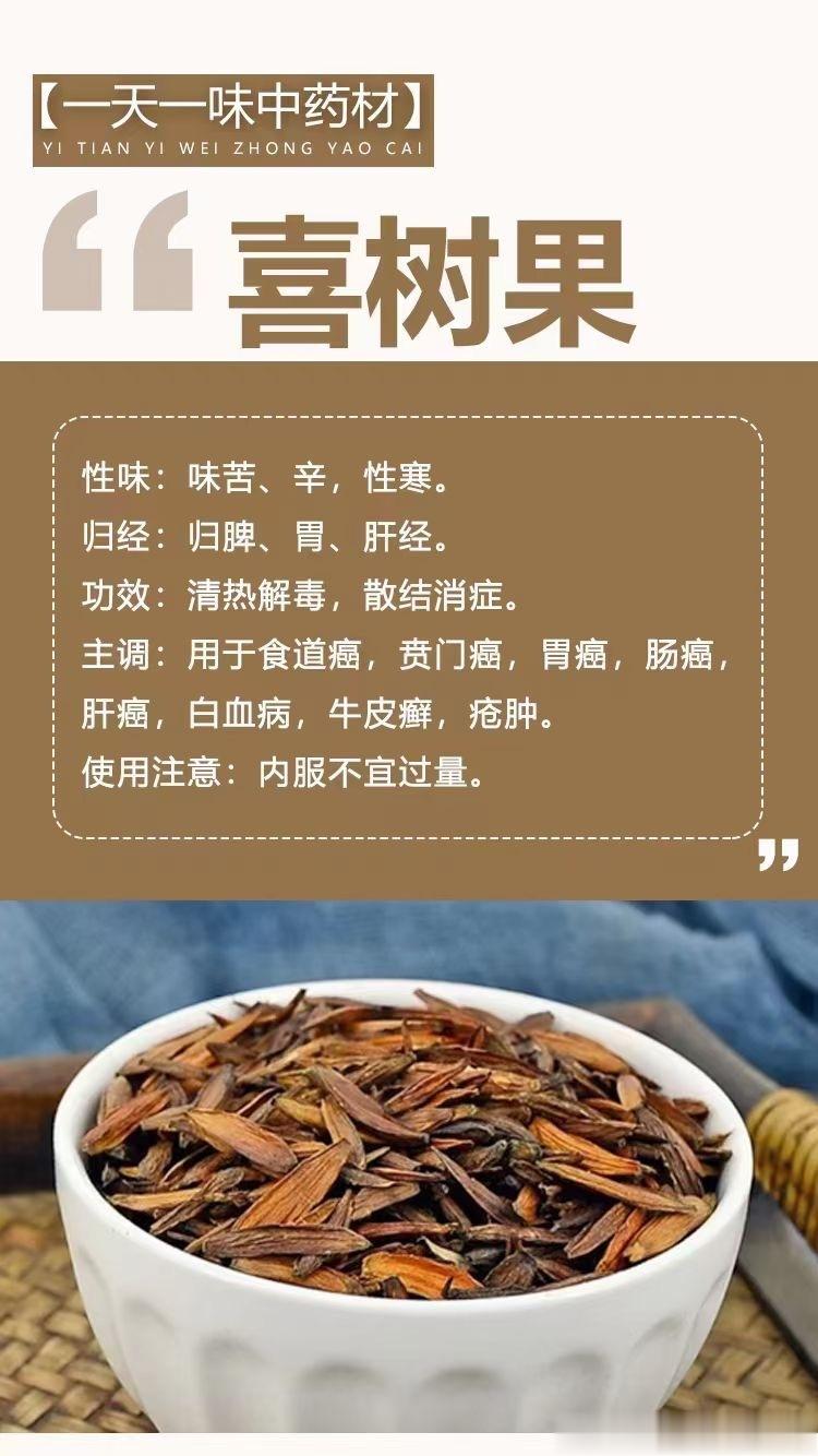 #国医的精诚力量##每天一味中草药##论道岐黄# 🍀【一‮一天‬味中药材】  