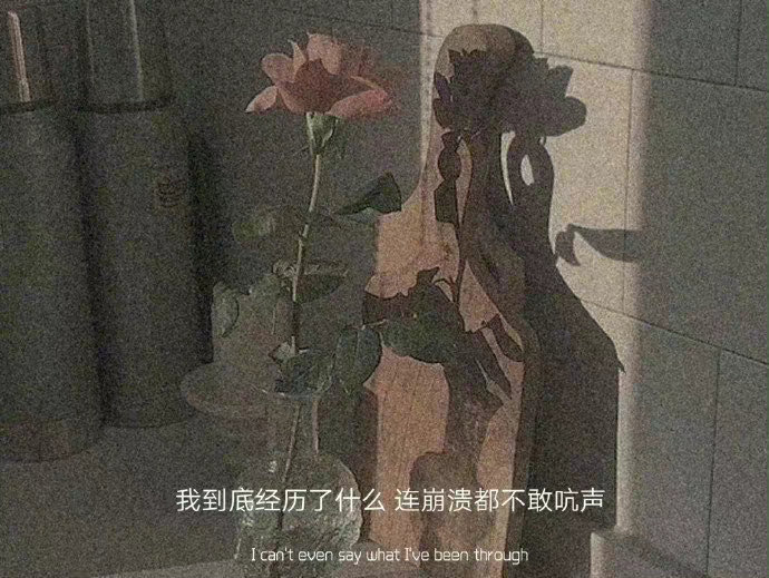  能聚就聚吧 能爱就爱吧几十年后 我们一人一个坑你睡你的 我睡我的再好的电话和微