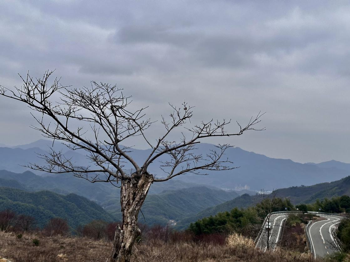 江浙沪跑山圣地，强烈推荐四明山！理由如下：

一、离上海不算远，单程230公里，