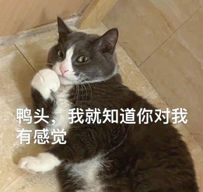 “鸭头，我就知道你对我有感觉”