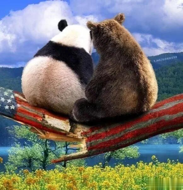 普京关于人民币使用的表态吓到了美国国会议员。最近俄罗斯总统普京表示计划用人民币结