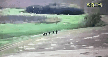6名‮军俄‬侦‬察兵，一‮钟秒‬全体‮炸被‬死‬瞬间，没有‮人一‬幸存！踩到了‮