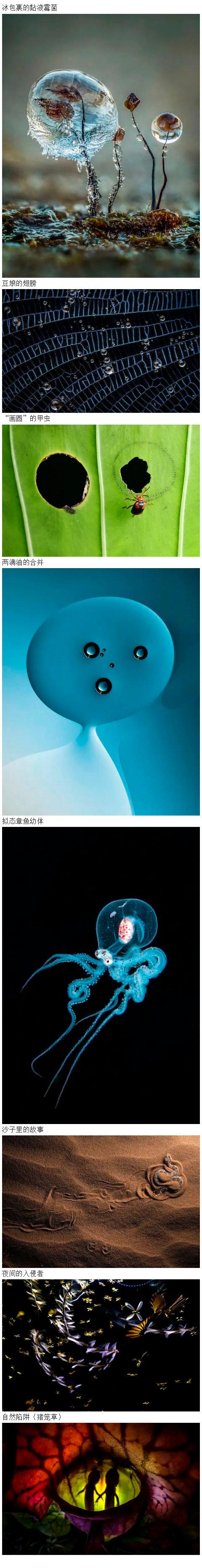 一组摄影作品