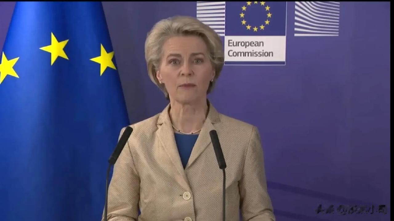 就在俄乌冲突爆发，即将一周年之际，欧盟又抛出了针对俄罗斯的第十轮经济制裁。

欧