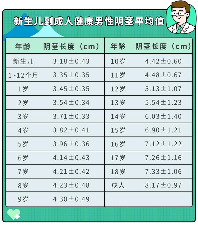 男宝丁丁多大算正常？对照0-18岁尺寸表，偏小警惕两种情况