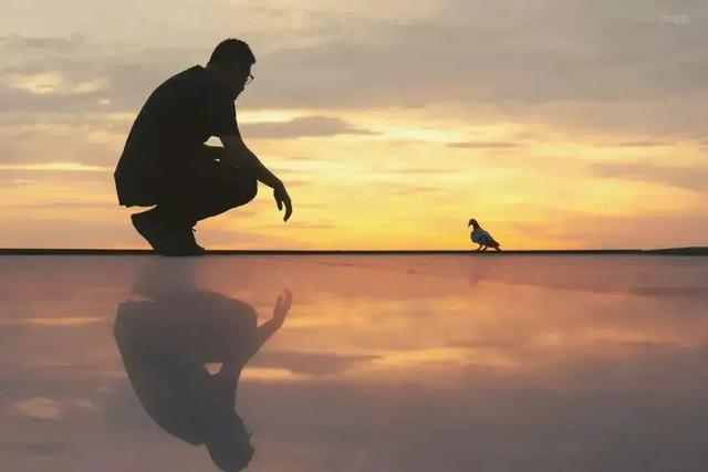 人类为什么被称为人,而除人以外的都被人称为动物?